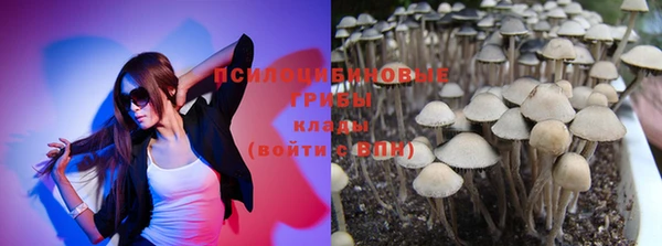 PSILOCYBIN Армянск