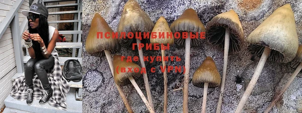 PSILOCYBIN Армянск