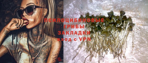 PSILOCYBIN Армянск