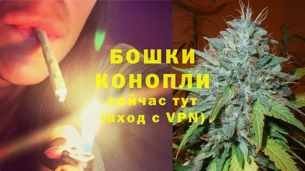 PSILOCYBIN Армянск