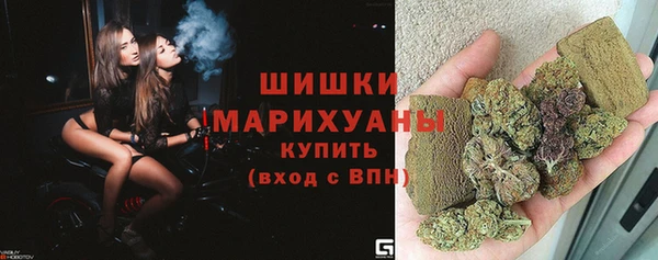 PSILOCYBIN Армянск