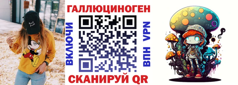 магазин продажи наркотиков  Райчихинск  hydra как зайти  Псилоцибиновые грибы ЛСД 
